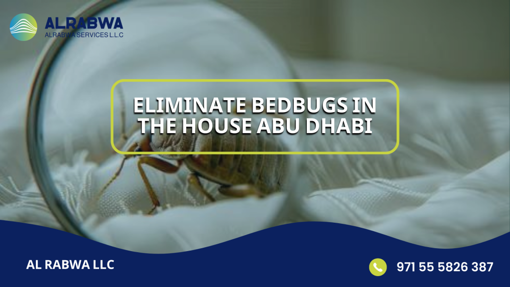 Eliminate bedbugs in the house Abu Dhabi