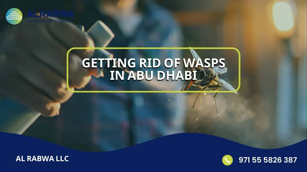 Getting Rid of Wasps in Abu Dhabi