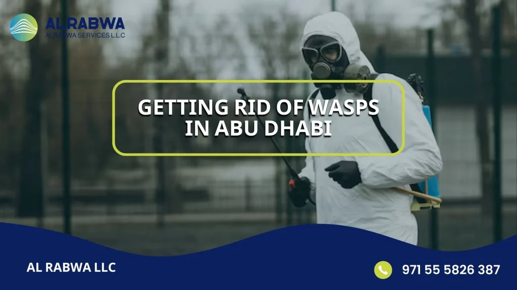 Getting Rid of Wasps in Abu Dhabi