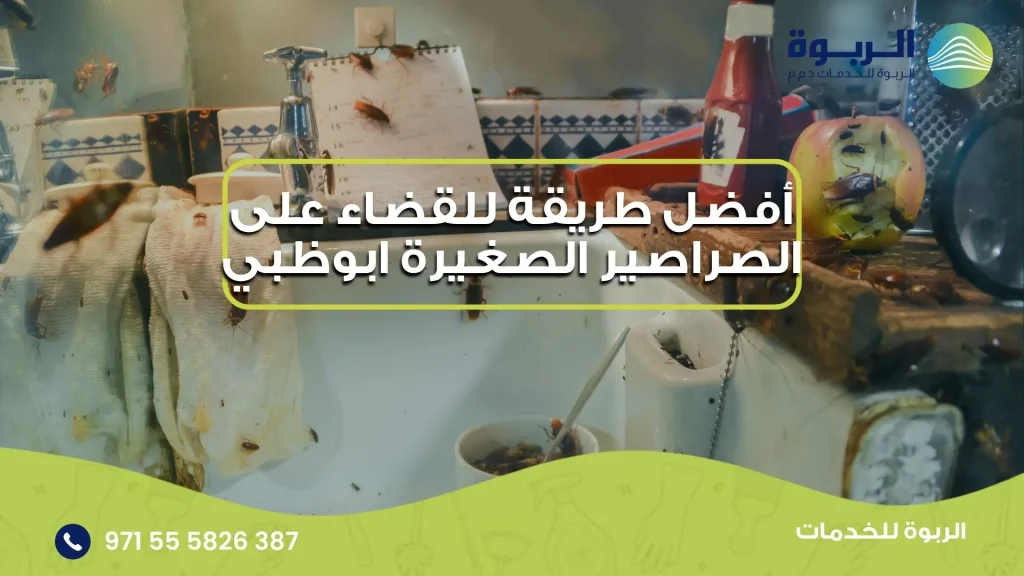 أفضل طريقة للقضاء على الصراصير الصغيرة ابوظبي