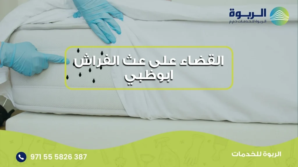 القضاء على عث الفراش ابوظبي