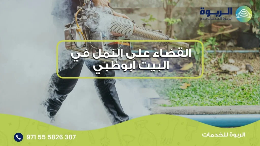 القضاء على النمل في البيت أبوظبي