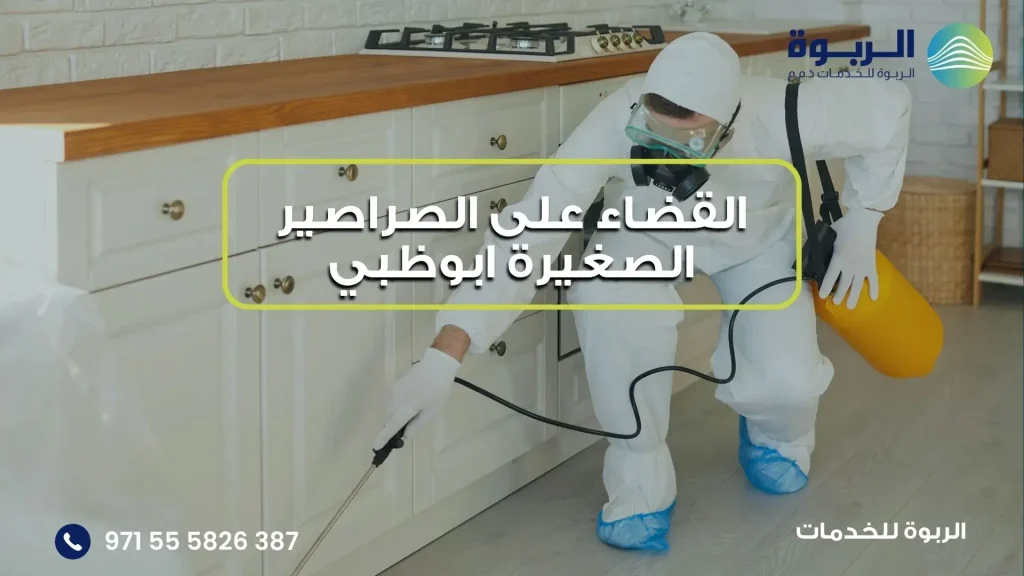 القضاء على الصراصير الصغيرة ابوظبي