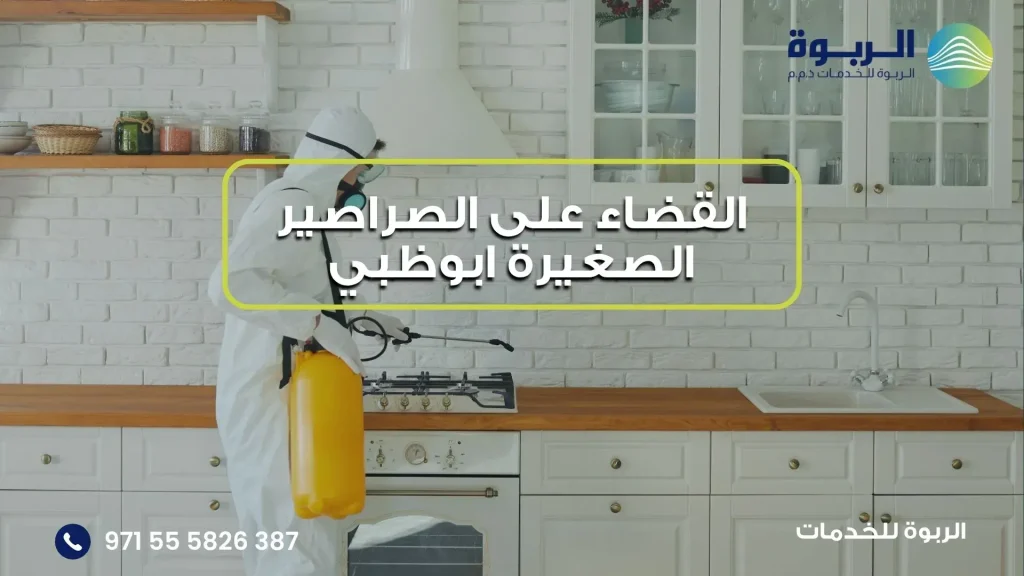 القضاء على الصراصير الصغيرة ابوظبي