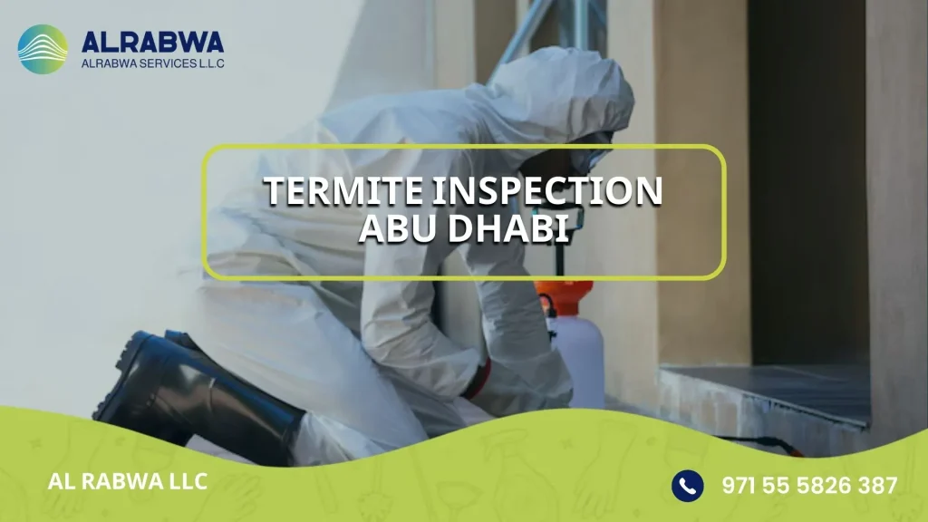 termite inspection abu dhabi