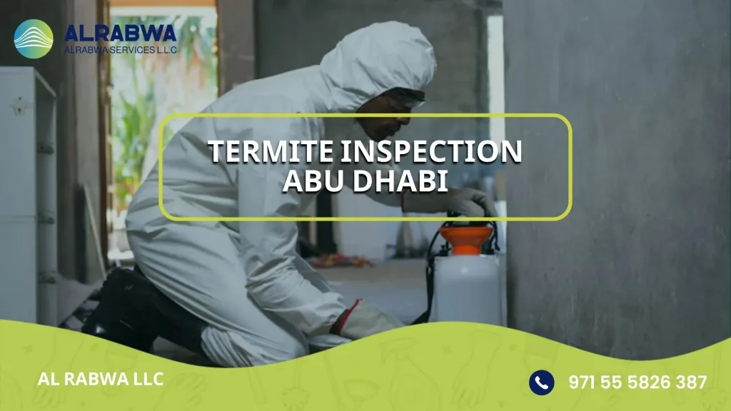 termite inspection abu dhabi