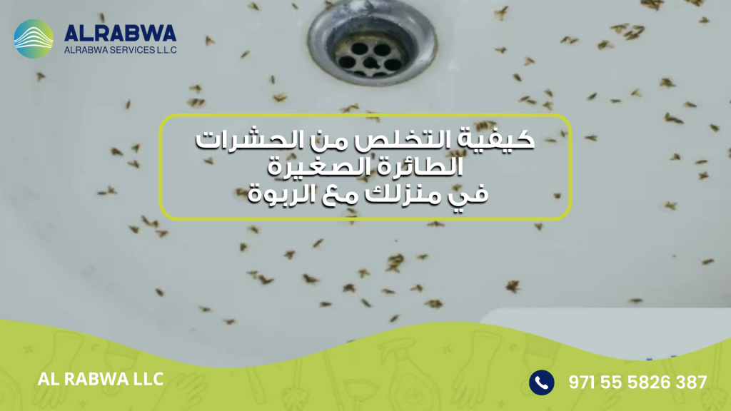 كيفية التخلص من الحشرات الطائرة الصغيرة