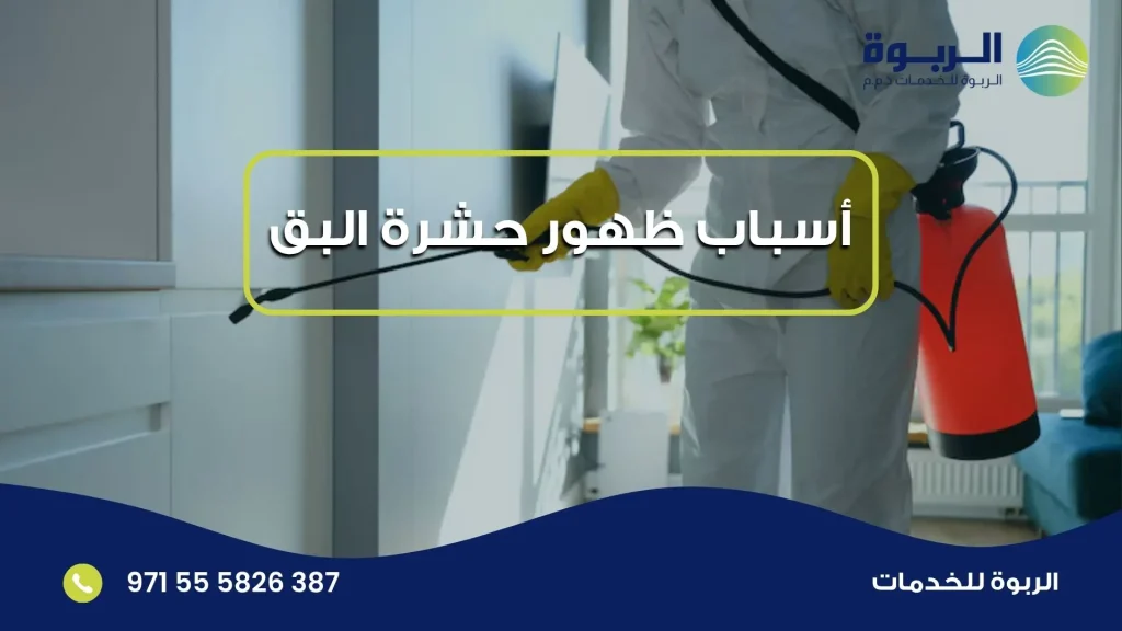أسباب ظهور حشرة البق