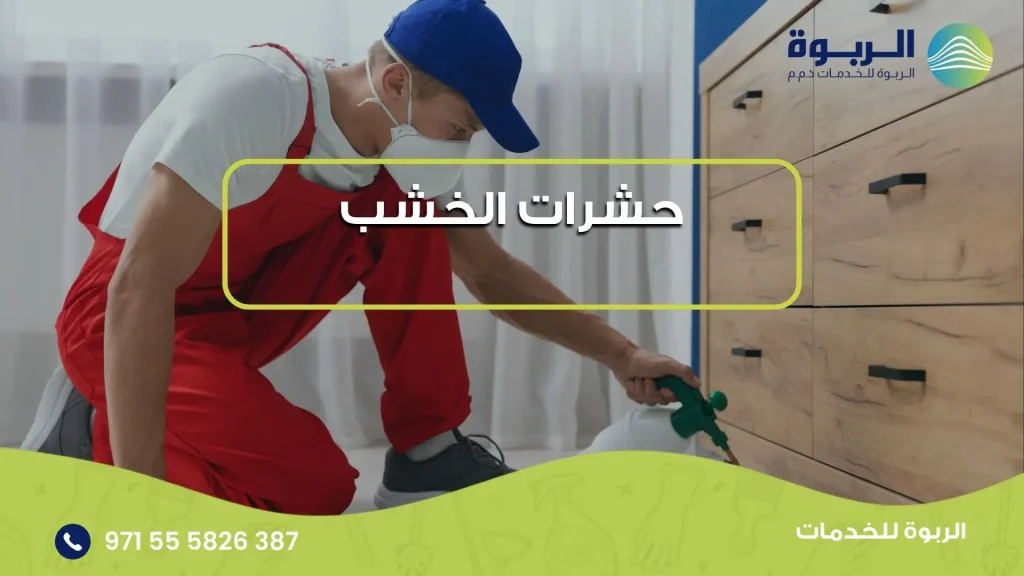 حشرات الخشب