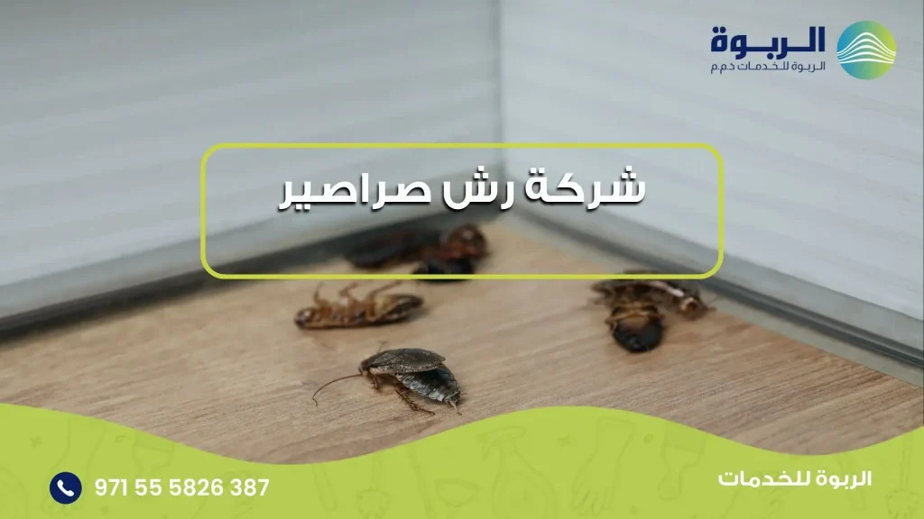 شركة رش صراصير
