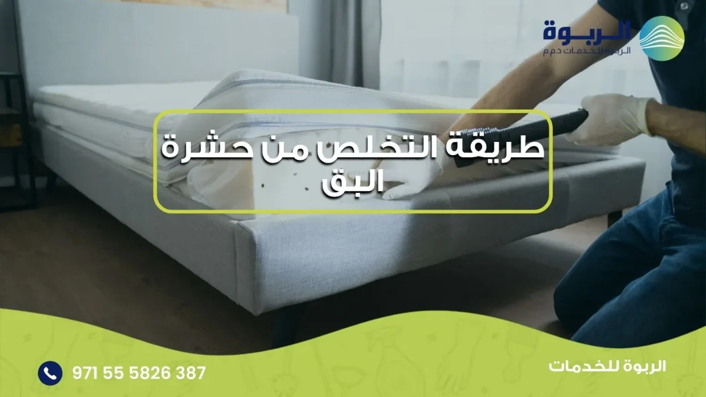 طريقة التخلص من حشرة البق