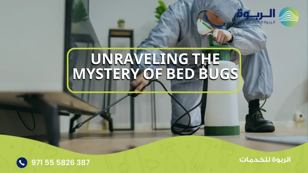 Unraveling the Mystery of Bed bugs
