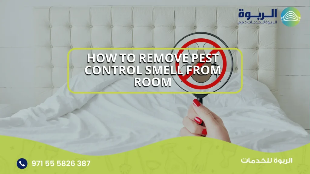 remove pest control smell from room