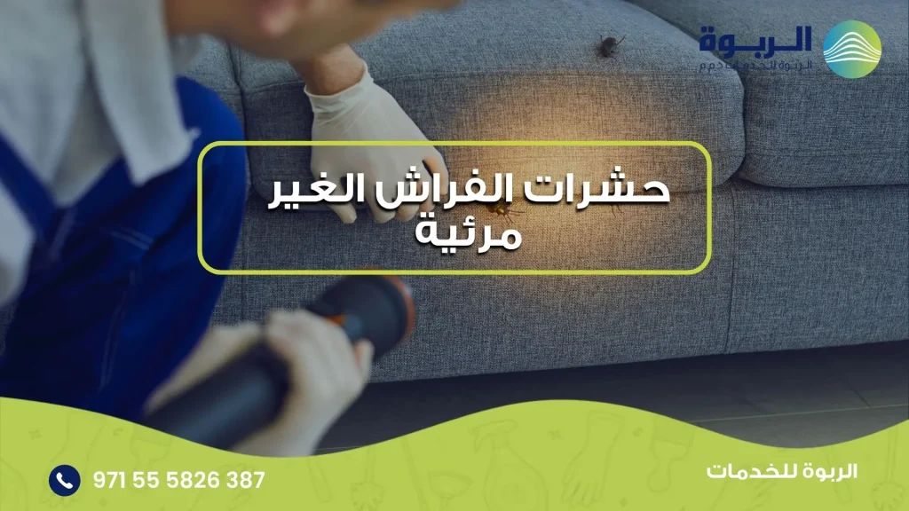 حشرات الفراش الغير مرئية
