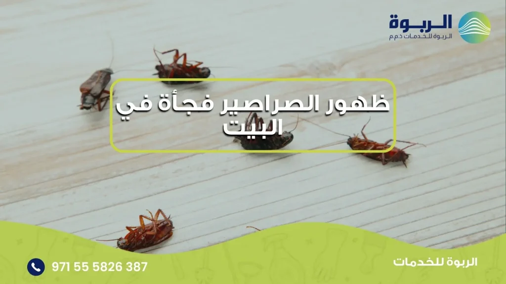 ظهور الصراصير فجأة في البيت
