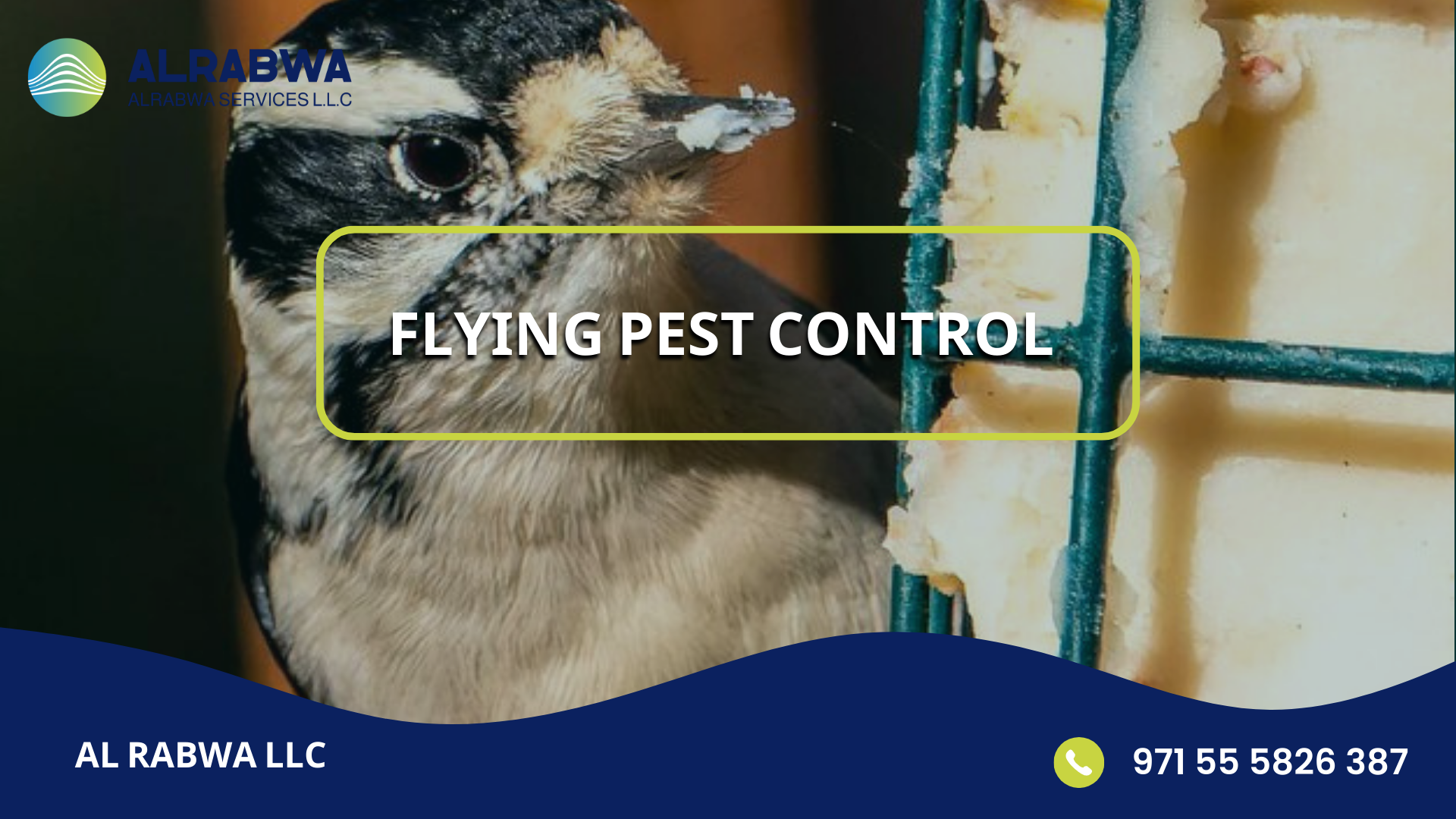 flying pest control
