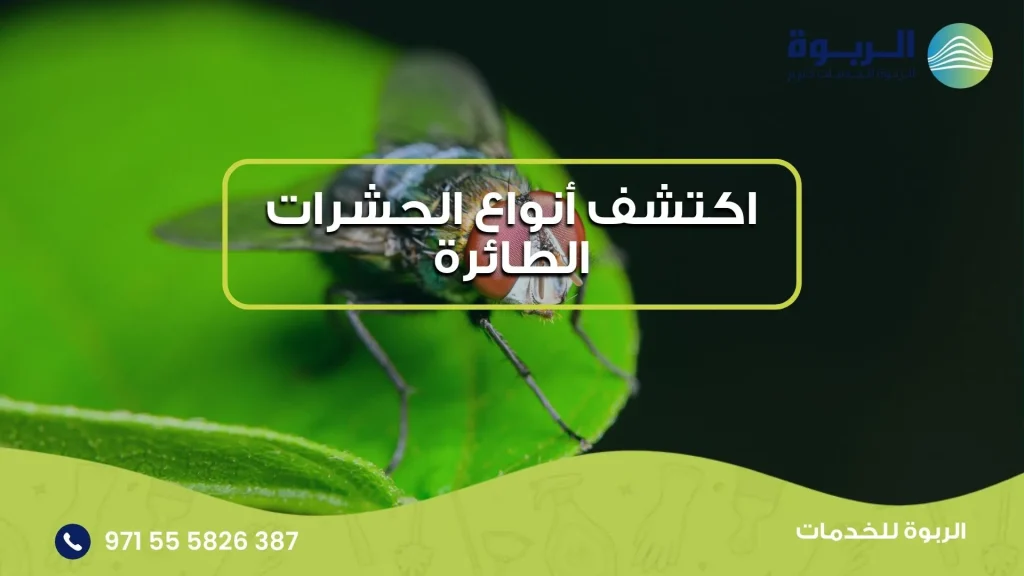 اكتشف أنواع الحشرات الطائرة