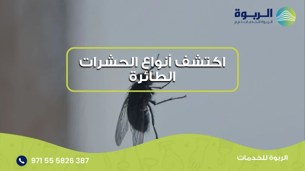 اكتشف أنواع الحشرات الطائرة