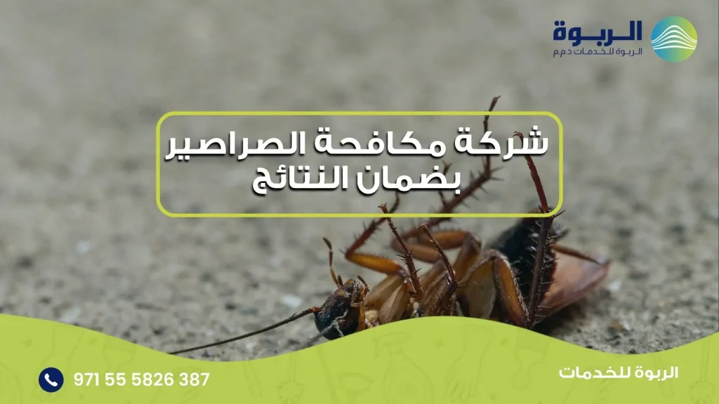 اكتشف اسباب الصراصير في البيت
