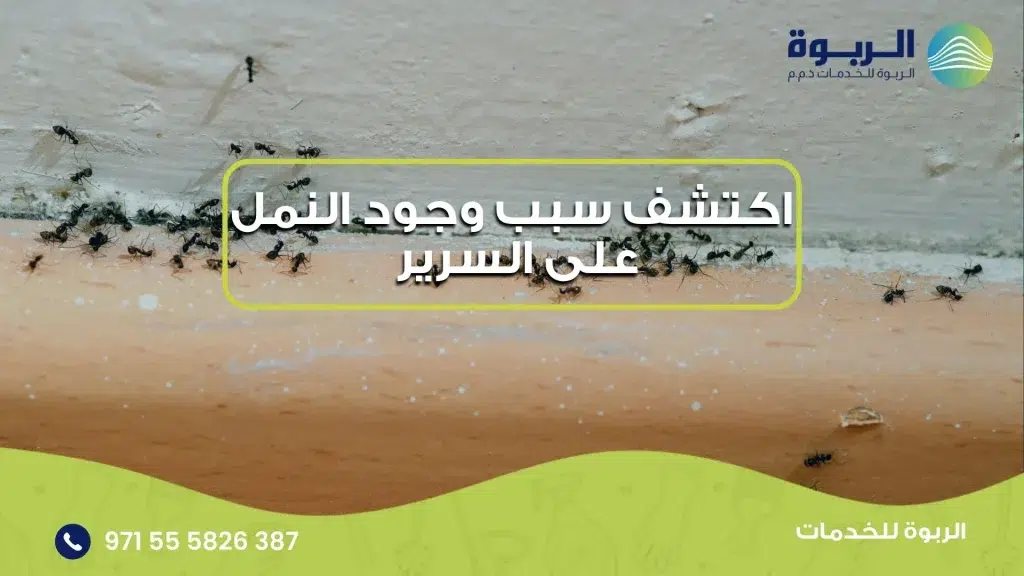 اكتشف سبب وجود النمل على السرير