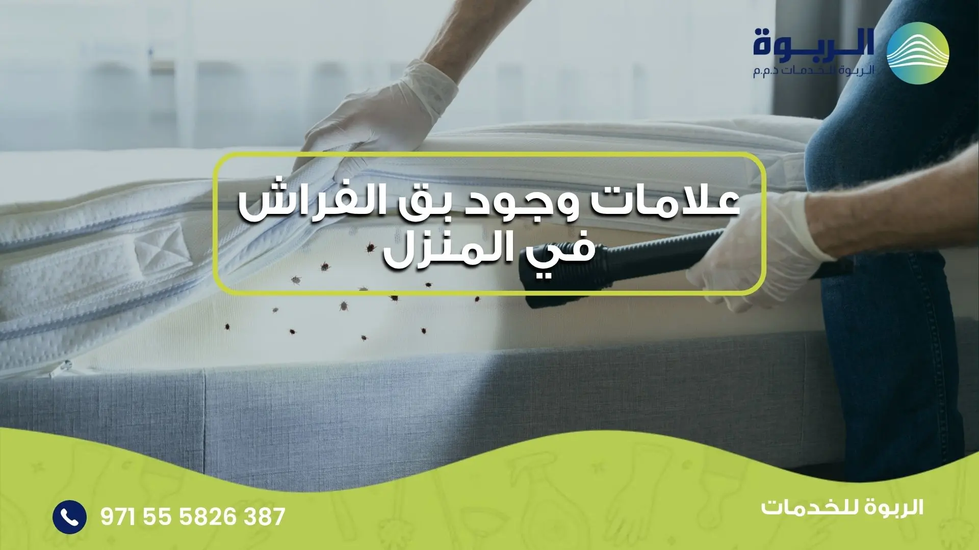 علامات وجود بق الفراش في المنزل