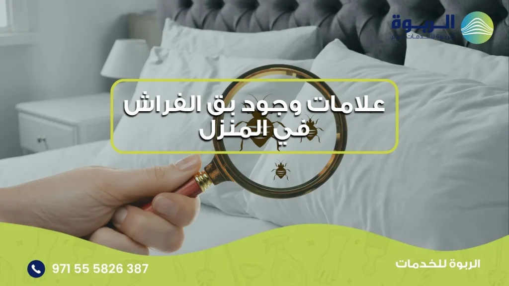 علامات وجود بق الفراش في المنزل