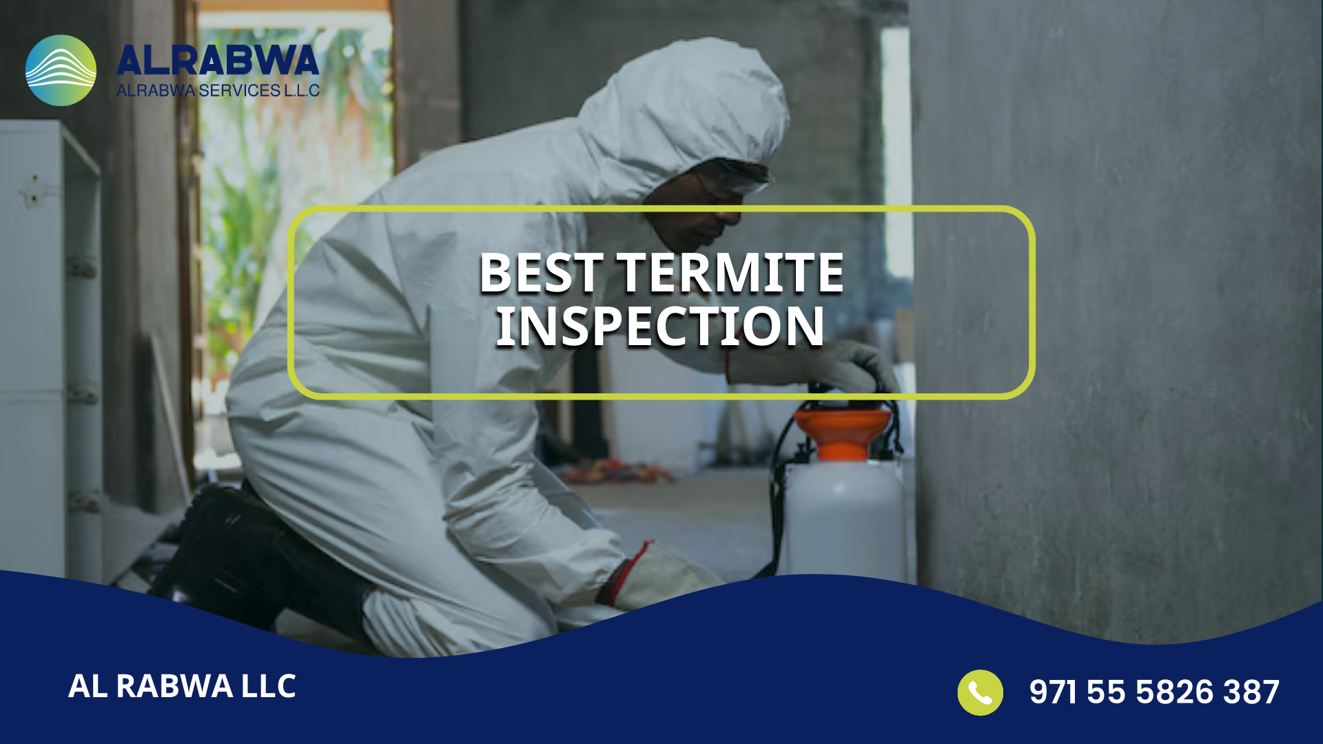 Find the Best Termite Inspection Services for Your Property