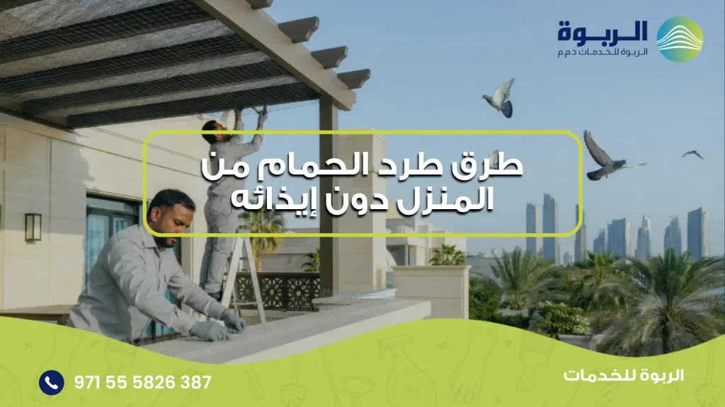 طرق طرد الحمام من المنزل دون إيذائه