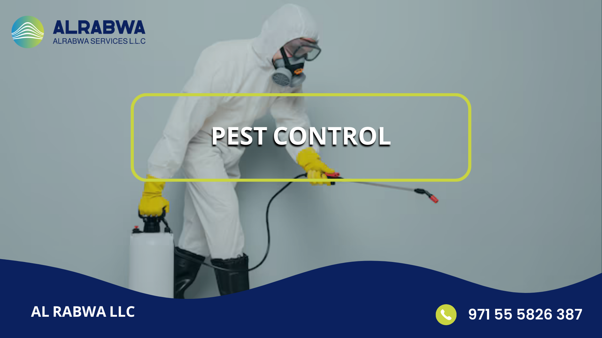 Expert Pests Control –Say Goodbye to Bugs & Rodents for Good