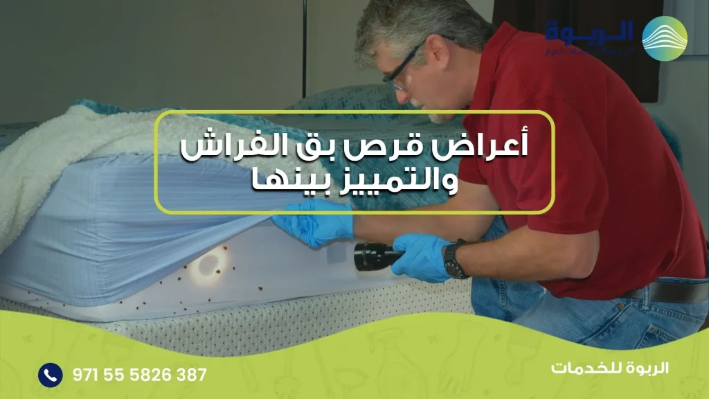 أعراض قرص بق الفراش والتمييز بينها