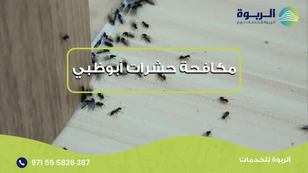 مكافحة حشرات أبوظبي