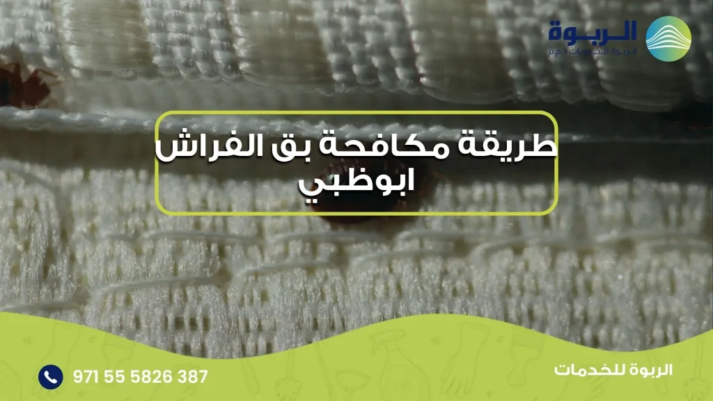 طريقة مكافحة بق الفراش ابوظبي