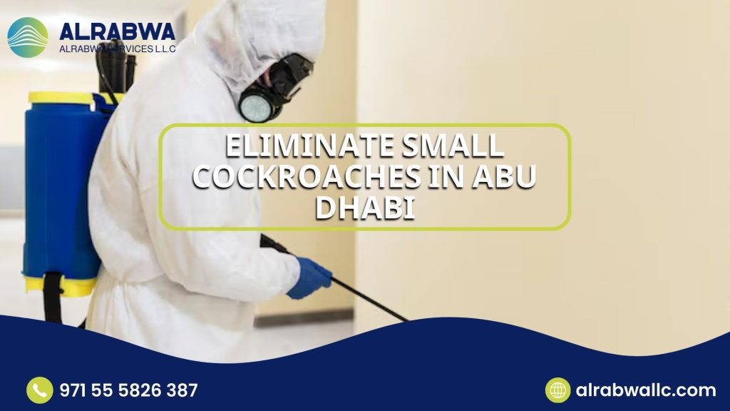 eliminate small cockroaches in Abu Dhabi