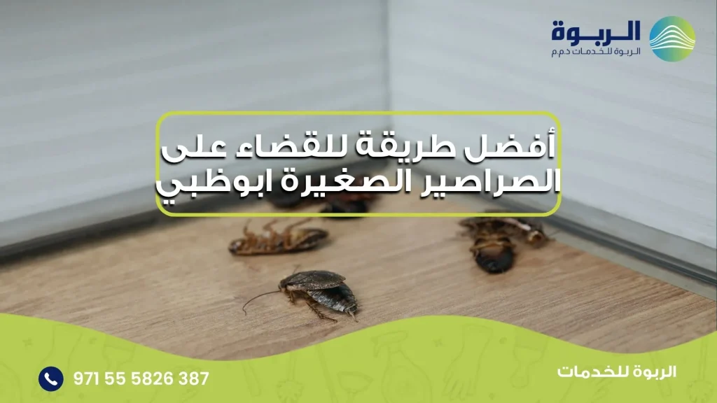 أفضل طريقة للقضاء على الصراصير الصغيرة ابوظبي
