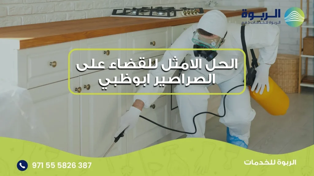 الحل الامثل للقضاء على الصراصير ابوظبي