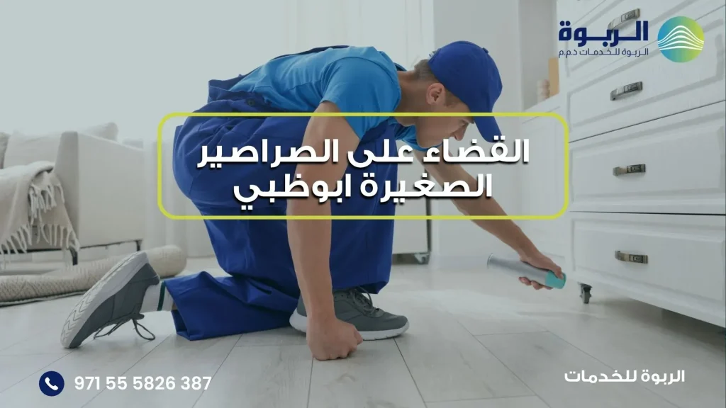 القضاء على الصراصير الصغيرة ابوظبي