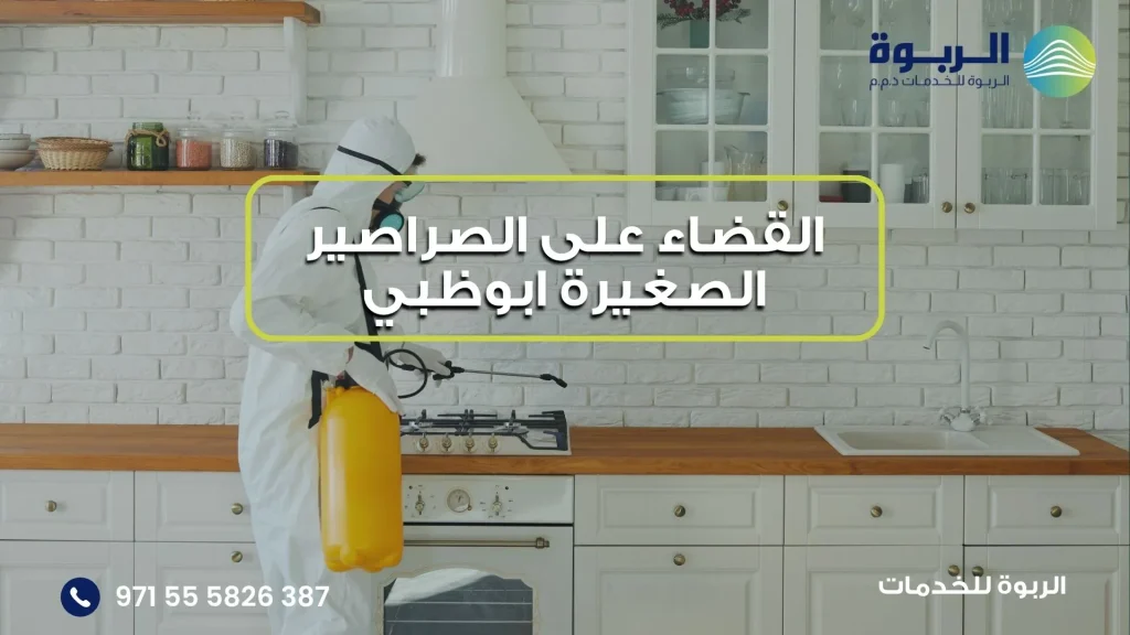 القضاء على الصراصير الصغيرة ابوظبي