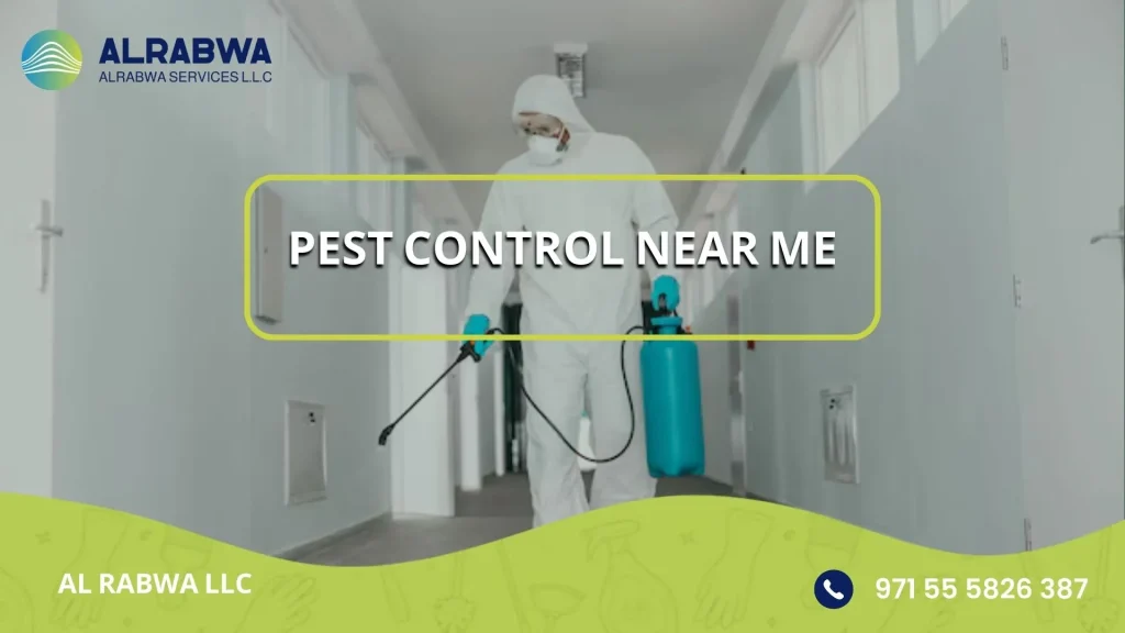 pest control near me