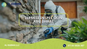 termite inspection abu dhabi