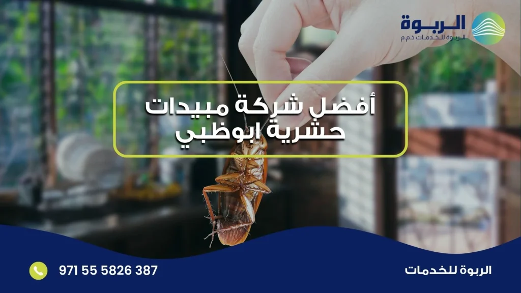 أفضل شركة مبيدات حشرية ابوظبي