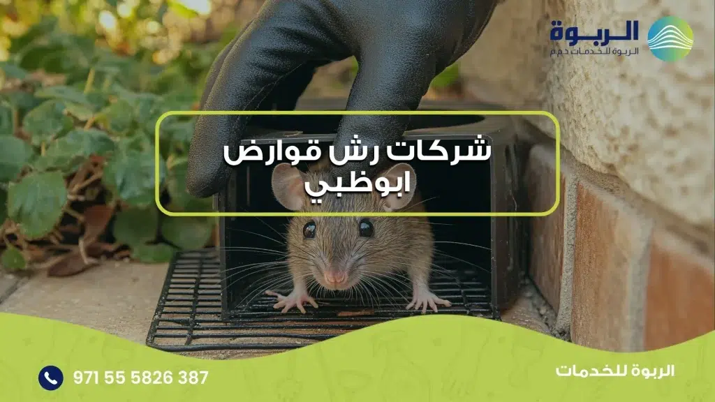 شركات رش قوارض ابوظبي