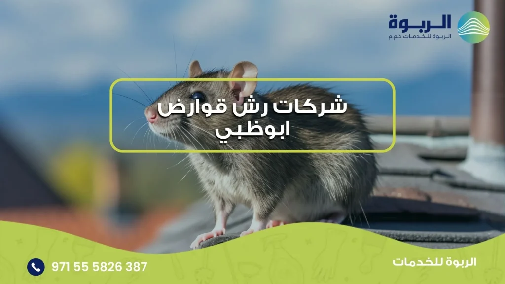 شركات رش قوارض ابوظبي