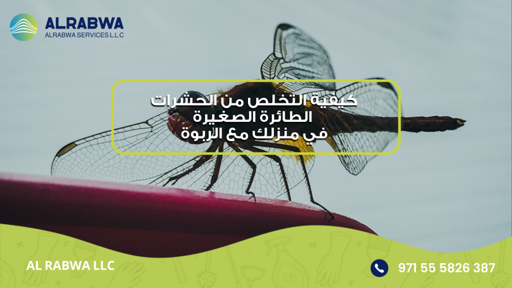 كيفية التخلص من الحشرات الطائرة الصغيرة