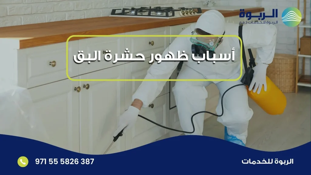 أسباب ظهور حشرة البق