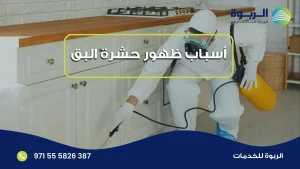 أسباب ظهور حشرة البق