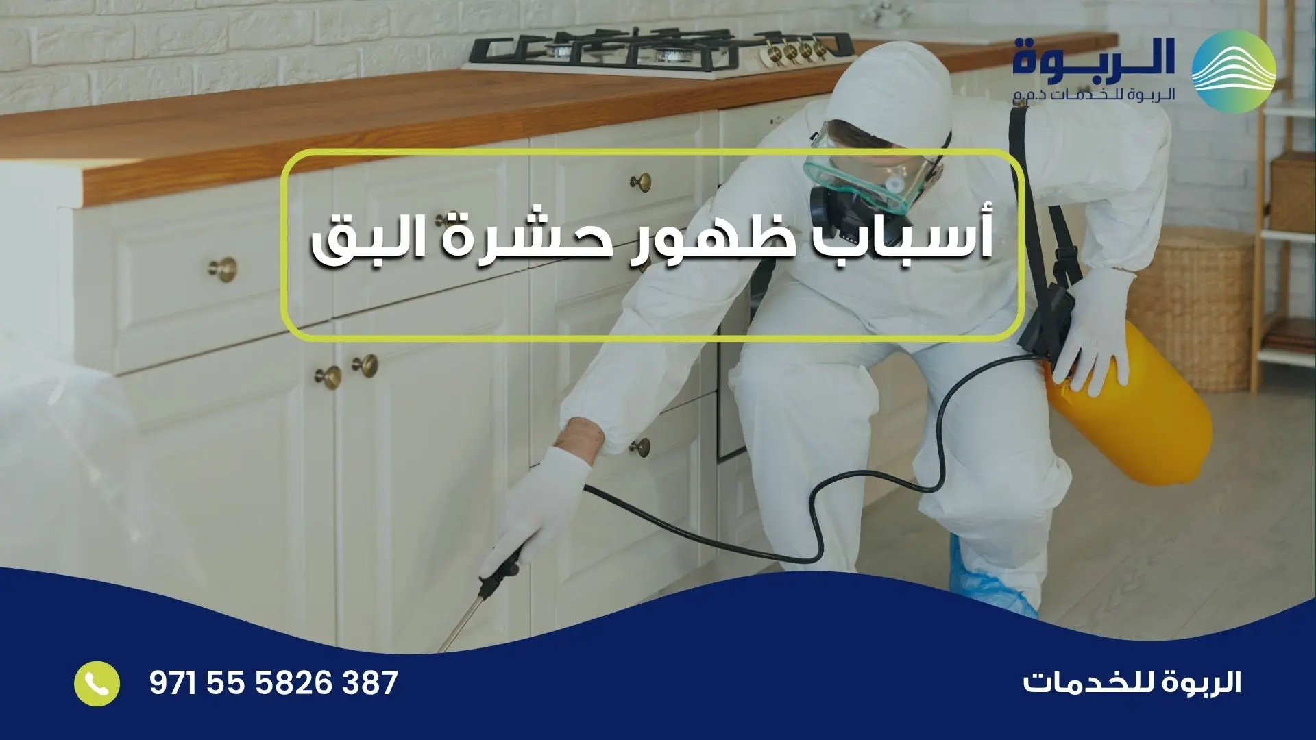 أسباب ظهور حشرة البق