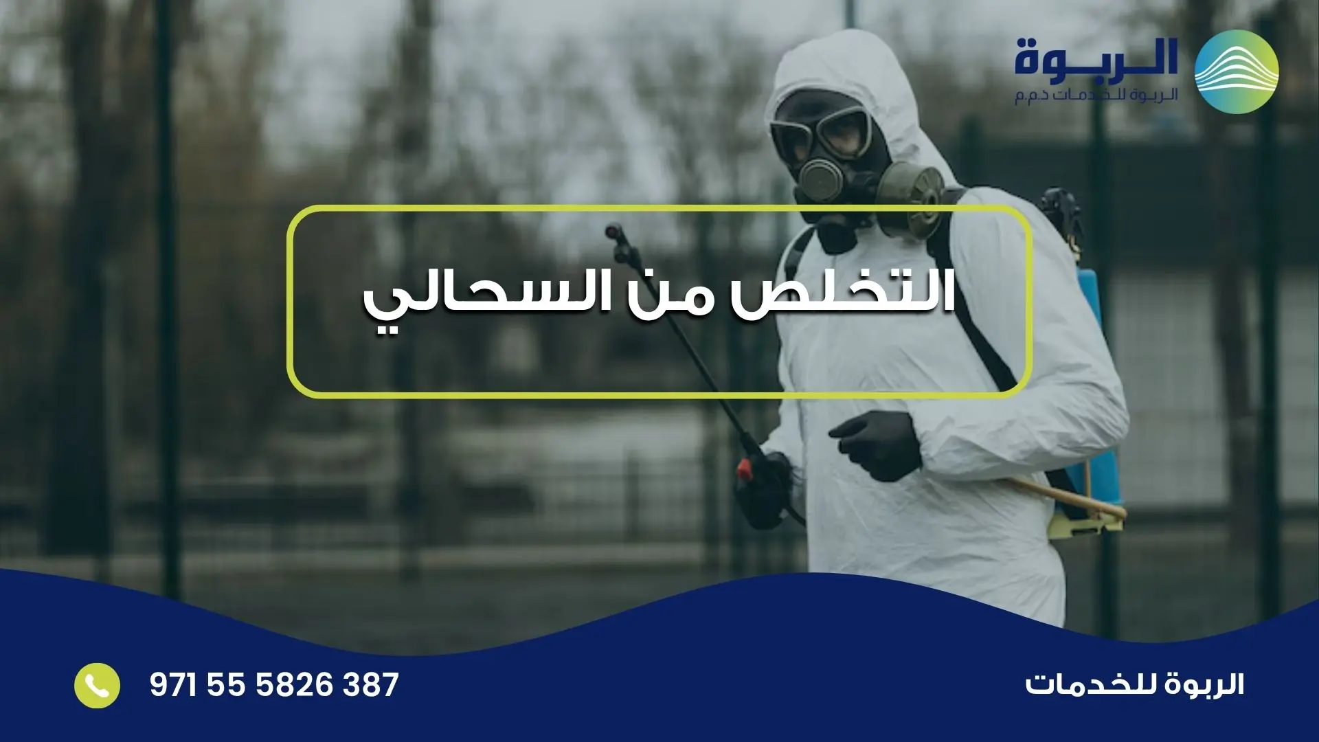 التخلص من السحالي