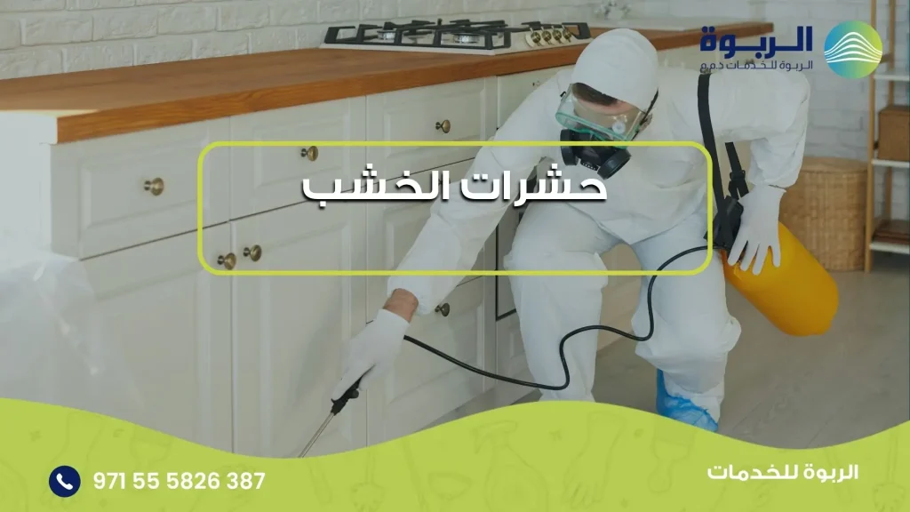 حشرات الخشب