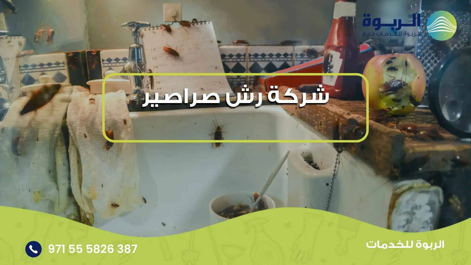 شركة رش صراصير
