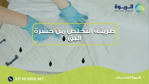 طريقة التخلص من حشرة البق